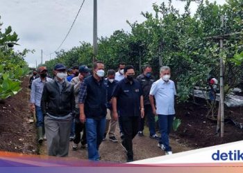 Erick Thohir Minta Bank Plat Merah Jadi Lokomotif UMKM, Bukan Korporasi