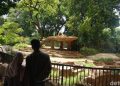 Polemik Tak Berujung Kebun Binatang Bandung
