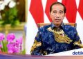 Pak Jokowi, Sampai Kapan Tahan Harga BBM Tak Naik? Bank Dunia Wanti-wanti Ini