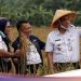 Wagub DKI Panen Padi Bareng Petani di Rorotan Jakut