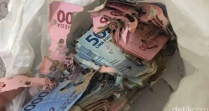 Viral Wanita Punya Uang Segepok Dimakan Rayap, Nunggu 2 Bulan Tukar ke BI