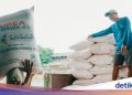 Kuota Pupuk Subsidi Terbatas, Bisakah Alokasi Ditambah?