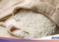 Bank Dunia Sebut Harga Beras RI Termahal se-ASEAN 10 Tahun Terakhir