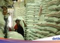 Sebab Musabab Beras RI Lebih Mahal Dibanding Punya Tetangga
