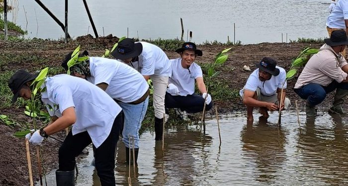 BUMN Nggak Cuma Tahu Kejar Untung, tapi Juga Serius Perangi Krisis Iklim