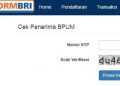 Cara Daftar e-Form BRI Online Lewat HP, Lengkap Beserta Persyaratannya