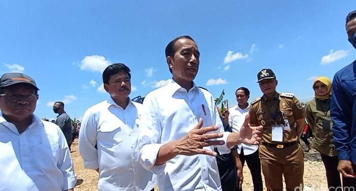 Jokowi Minta BRI Izinkan Petani Dapat KUR dengan Jaminan SK Hutan Sosial