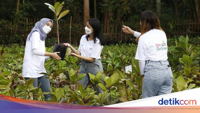 Program CSR BNI Dinilai Beri Dampak Positif bagi Sosial & Lingkungan