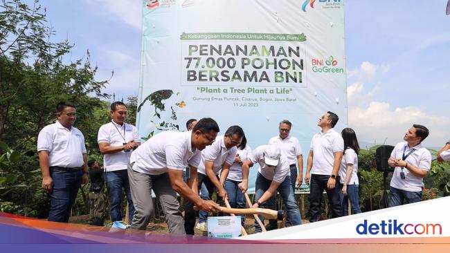 Rangkaian HUT Ke-77, BNI Tanam 77 Ribu Pohon di Bogor