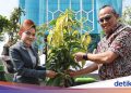 Perbaiki Kualitas Udara & Wujudkan NZE, BNI Tanam 5.000 Pohon