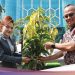 Perbaiki Kualitas Udara & Wujudkan NZE, BNI Tanam 5.000 Pohon