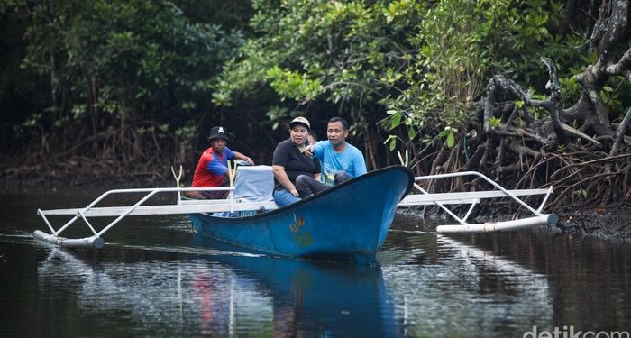 Bak ‘Sherina’, Serunya Naik Boat Susuri Hutan Mangrove di Desa Palaes