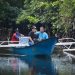 Bak ‘Sherina’, Serunya Naik Boat Susuri Hutan Mangrove di Desa Palaes