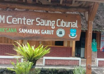 BRI Bantu Dongkrak Produksi UMKM Kopi di Garut, dari 10 Kg Jadi 2 Kuintal