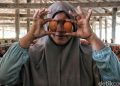 Nggak Selalu Mulus, 4 Masalah Ini Kerap Hantui Usaha Ternak Ayam