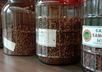 UMKM di Garut Semakin Tumbuh & Tangguh Berkat Dukungan BRI