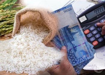 Harga Beras Naik Tertinggi Selama Setahun. Sumber: Tribun.